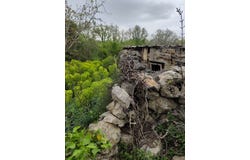 Krk, Primorsko-goranska