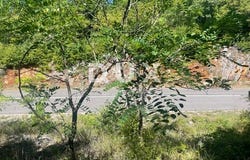 Dobrinj, Primorsko-goranska