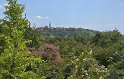 Buje, Istarska