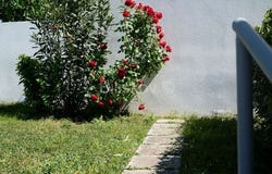 Trogir, Splitsko-dalmatinska 21224