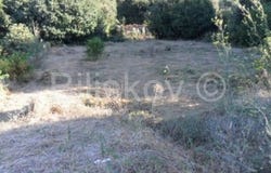 Janjina, Dubrovacko-neretvanska 20246