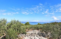 Hvar, Split-Dalmatia