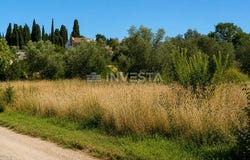 Vodnjan, Istarska