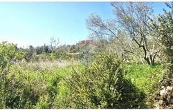Kukljica, Zadarsko-kninska