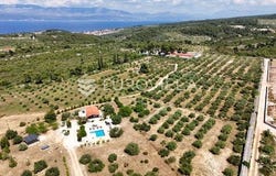 Brac, Splitsko-dalmatinska