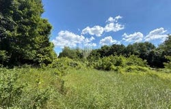 Barban, Istarska