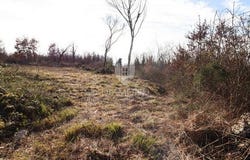 Tinjan, Istarska