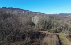 Pićan, Istarska