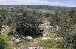 Brac, Splitsko-dalmatinska 21430