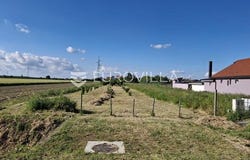 Osijek, Osjecko-baranjska