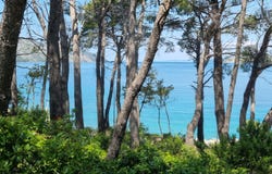 Jelsa, Split-Dalmatia County 21465