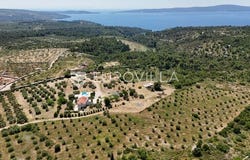 Brac, Splitsko-dalmatinska
