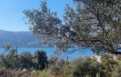 Marina, Splitsko-dalmatinska 21222