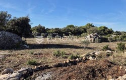 Brac, Splitsko-dalmatinska