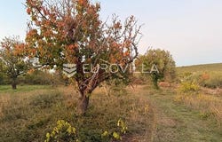 Zadar, Zadarsko-kninska