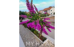 Stari grad, Splitsko-dalmatinska 21465