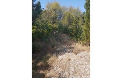 Šolta, Splitsko-dalmatinska