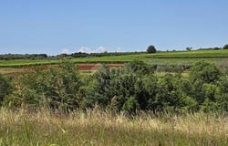 Vižinada, Istarska
