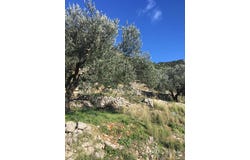 Babino Polje, Dubrovacko-neretvanska 20225