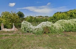 Osijek, Osjecko-baranjska 31226