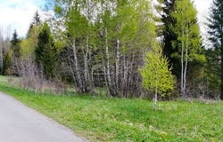 Ravna Gora, Primorsko-goranska