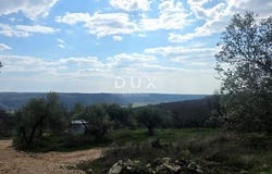 Buje, Istarska