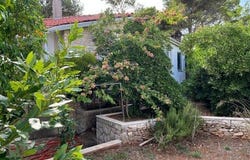 Brač, Splitsko-dalmatinska