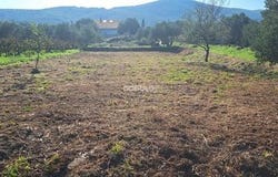 Dobropoljana, Zadarsko-kninska