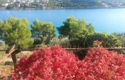 Šolta, Split-Dalmatia County 21430