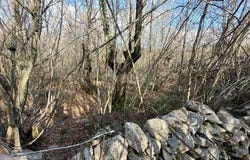 Krk, Primorsko-goranska