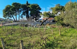 Split, Splitsko-dalmatinska