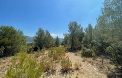 Pridraga, Zadarsko-kninska 23312