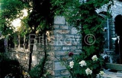 Brac, Splitsko-dalmatinska 21432