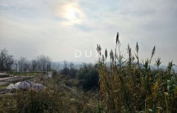 Buje, Istarska