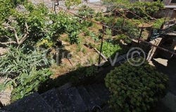 Brac, Splitsko-dalmatinska 21405