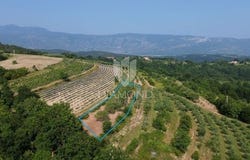 Pićan, Istarska