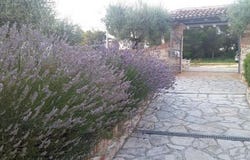 Umag, Istarska