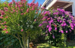 Opatija, Primorje-Gorski Kotar County 51410