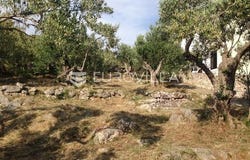 Zadar, Zadarsko-kninska