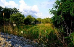 Nin, Zadarsko-kninska