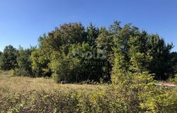 Dobrinj, Primorsko-goranska