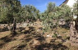 Zadar, Zadarsko-kninska