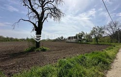 vinkovci, Vukovarsko-srijemska