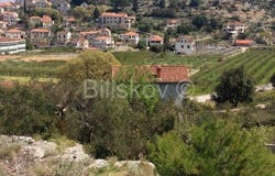 Brac, Splitsko-dalmatinska 21410