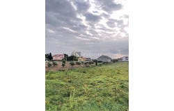 Vrsi, Splitsko-dalmatinska