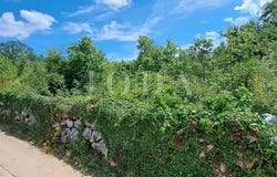 Malinska-Dubašnica, Primorsko-goranska