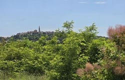 Buje, Istarska