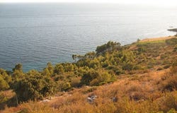 Hvar, Splitsko-dalmatinska 21450