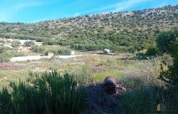 Seget Donji, Split-Dalmatia County 21218