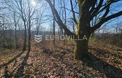 Zagreb, Grad Zagreb